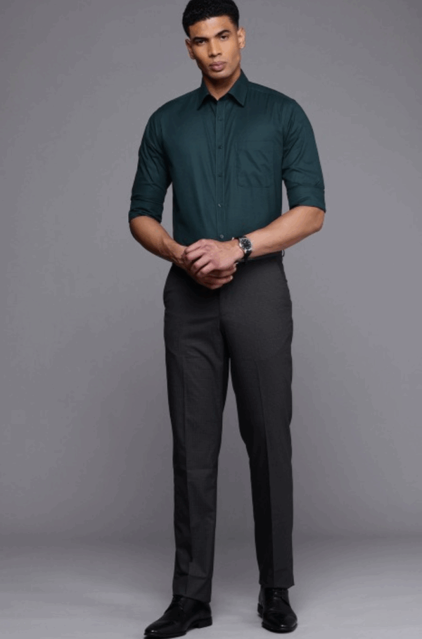 Pure Cotton Standard Slim Fit Opaque Formal Shirt - Image 2